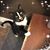 Margaret Clement's profile image