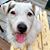 Mary Ullmer's profile image