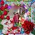 Catarina M Diego's profile image