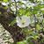Quiana Wilkerson Vidal's profile image