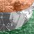 Preeti Shetty Joshi's profile image