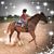 Kelly Weatherholt Florian's profile image
