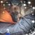 Diane Wolfe's profile image