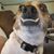 Scott W. Burenheide's profile image