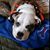 Sheila Fertal's profile image