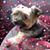 Lindsay Reeves's profile image