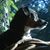 Melanie D Lee's profile image