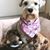 Marco Antonio Martinez's profile image