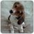Ron Willim's profile image