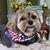 Gloria Douglas Hardee's profile image