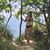 Angela Mickel's profile image