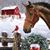 Deborah Depuy's profile image