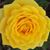 Mayra Martinez's profile image