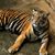 Leo Cois's profile image