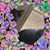 Denise Cantrell's profile image
