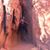 Bridgette Kittie Kat Sue's profile image