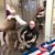 Tim Kenney Jr's profile image