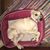 Ryan James Pritchett's profile image