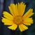 Judy So's profile image