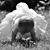 Dawn Teall-Kretzinger's profile image