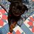 Kate An G. Hunter's profile image