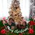 Leticia Vega's profile image