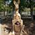 Sandi Bechtoldt's profile image