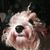 Kate Wood's profile image