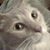 Lori DeSalvo's profile image