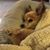 Pam Mayhew's profile image