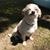 Lorie Morris's profile image