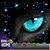 Kim Bellmore Nelson's profile image