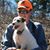 David Walton's profile image