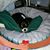 Sandi Ault's profile image