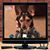 Frances Getz's profile image