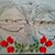 Mary McGowan's profile image