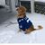 Karen Newton's profile image