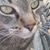 Aimee Muniz's profile image