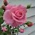 Anne Landefeld's profile image