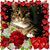 Kurt-Pam Beiswenger's profile image