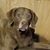 Carolyn Andrews Johnson's profile image