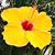 Marcie Salerno-Hoag's profile image