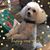 Cathy Seiberlich Spillman's profile image