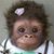 Shirley Hipps's profile image