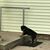 Loughery Dan's profile image