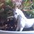D'Arcy L. Demianoff-Thompson's profile image