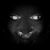 Josh Rackers's profile image