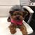 Gina Polizzotto's profile image