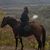 Amanda Mayry's profile image