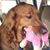 Doug Adkins's profile image